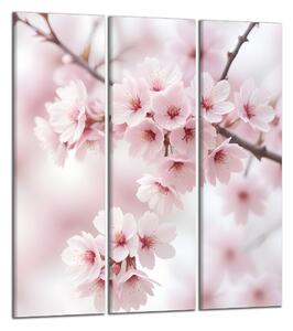 Obraz na plátně Květy třešně