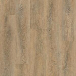 Fatraclick Dub Barca, 15781-08 1,704 m²