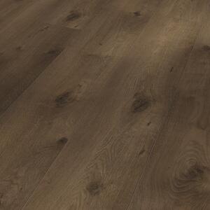Parador Trendtime 6 – Dub Everglade antique 1748792 2,67 m²