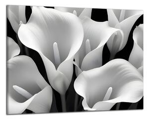 Obraz na plátně Černobílé květiny