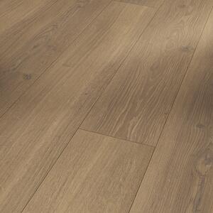 Parador Trendtime 6 – Dub Studioline honey 1744708 2,67 m²