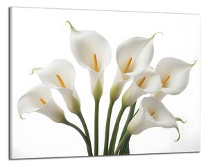 Obraz na plátně Bílé květy