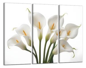 Obraz na plátně Bílé květy