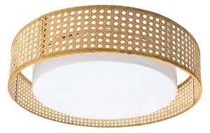 Toolight Toolight, LED stropní svítidlo plafon s ratanovým stínítkem 4000K, APP1934-C, bílá-ratan, 50 cm, OSW-66090