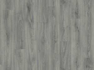 Junior 60 PUR 2024 Legend Oak M97 4m