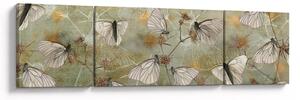 Obraz - Vintage motýli (170x50 cm)
