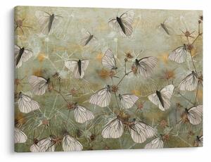Obraz - Vintage motýli (70x50 cm)