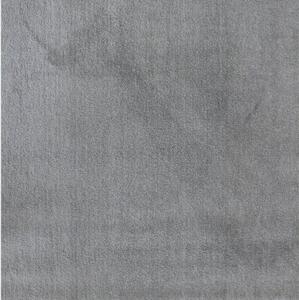 Kusový koberec Labrador 71315-060 light grey 80 x 150 cm 80 x 150 cm