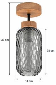 BRILAGI - LED Přisazený lustr R GLASS 1xE27/60W/230V pr. 14 cm dub/kouřová šedá