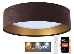 BPS Koncept LED Stmívatelné svítidlo SMART GALAXY LED/36W/230V pr. 55 cm Wi-Fi Tuya + DO BS0605