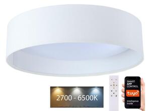 BPS Koncept LED Stmívatelné svítidlo SMART GALAXY LED/36W/230V pr. 55 cm Wi-Fi Tuya + DO BS0606