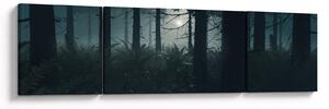 Obraz - Kapradí v měsíčním svitu (170x50 cm)