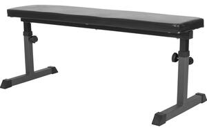 Gyronetics Nastavitelná plochá lavice, 112 x 46 x 56 cm