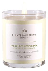PLANTES & PARFUMS de Provence PLANTES ET PARFUMS Vonná svíčka Jardin des Hespéridés (Citrusová zahrada) 180g