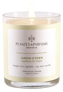PLANTES & PARFUMS de Provence PLANTES ET PARFUMS Vonná svíčka Jardin d'Eden (Rajská zahrada) 180g