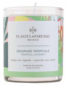 PLANTES & PARFUMS de Provence PLANTES ET PARFUMS Vonná svíčka Escapade Tropicale 180g