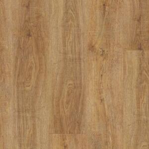 Thermofix PRO Wood 14137-1 Dub caramel 4,32 m²
