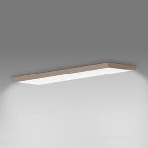 Brilagi-LED Koupelnové stropní svítidlo FRAME LED/50W/230V 120x30 cm IP44 béžová