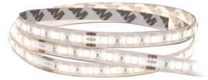 SOLIGHT LED SMD pásek, 50m, neutrální bílá, 16W/m, 1500lm/m, 10mm