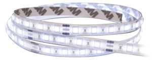 SOLIGHT LED SMD pásek, 50m, studená bílá, 16W/m, 1500lm/m, 10mm