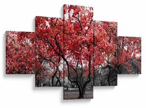 Obraz - Červené stromy, Central Park, New York (125x70 cm)