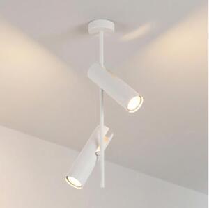 Brilagi - Lustr na tyči BRANCH 2xGU10/30W/230V bílá