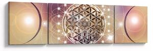 Obraz - Mandala s elementy (170x50 cm)
