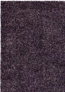Kusový koberec Enjoy Shaggy 4500 lila - 120 x 170 cm