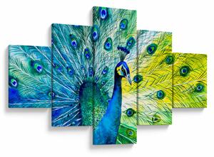 Obraz páva (125x70 cm)