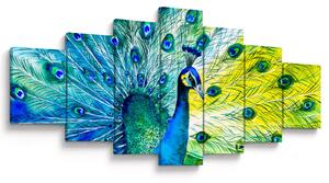 Obraz páva (210x100 cm)