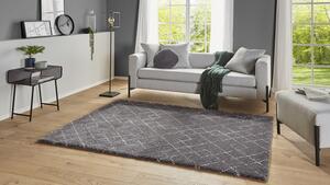 Kusový koberec Allure 104392 Darkgrey/Cream 200x290 cm