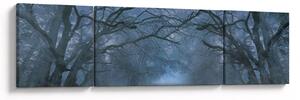 Obraz lesa v mlze (170x50 cm)