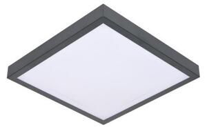 LED Stropní svítidlo se senzorem VITALI LED/24W/230V 4000K