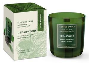 Cedar wood (150 g) - ❤️ PARFÉMOVANÉ SVÍČKY