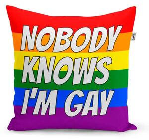 Sablio Polštář Nobody knows I'am gay: 40x40 cm