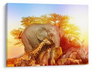 Obraz afrických zvířátek (70x50 cm)