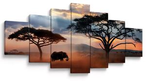 Obraz - Národní park Serengeti, Tanzánie, Afrika (210x100 cm)