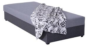 Čalouněná válenda s úložným prostorem JACOB XL nosnost 130 kg 90x200 cm šedá