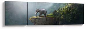 Obraz - Slůně na vrcholku Taj Mahal (170x50 cm)