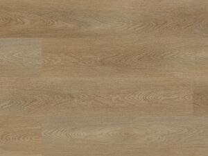 Experto Click SPC 30 3033-011 Dub Tener