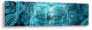 Obraz - Genetika (170x50 cm)