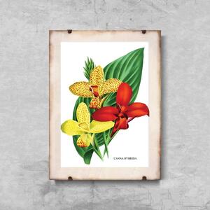 Plakát Plakát Květiny 1957