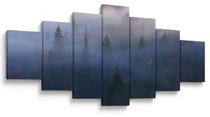 Obraz - Les v mlze, Karpaty, Ukrajina (210x100 cm)