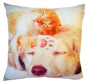Polštářek s obrázkem pejska spícího s kočkou. Druhá strana fotopolštářku je bílá. Rozměr polštářku je 40x40 cm