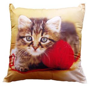 Polštářek s obrázkem mourovaného koťátka s červeným klubíčkem. Druhá strana fotopolštářku je bílá. Rozměr polštářku je 40x40 cm