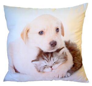 Polštářek s obrázkem pejska objímajícího kotě. Druhá strana fotopolštářku je bílá. Rozměr polštářku je 40x40 cm