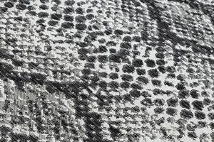 Kusový koberec Sion Sisal Snake`s skin 22162 ecru/black – na ven i na doma 200x290 cm