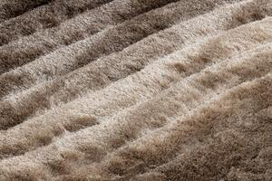 Kusový koberec Flim 006-B2 brown 120x160 cm