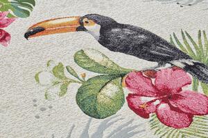 Kusový koberec Flair 105608 Tropical Dream Creme Multicolored – na ven i na doma 80x165 cm