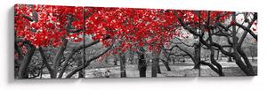 Obraz - Červené stromy, Central Park, New York (170x50 cm)
